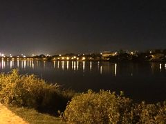 -羊山湖公园