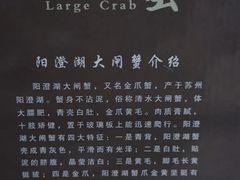 -七的湖·晚芳亭·阳澄湖农家菜·大闸蟹(莲花岛店)