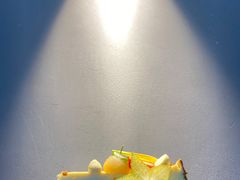 -BRAVO·布瓦屋西餐