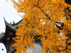 -宝光寺