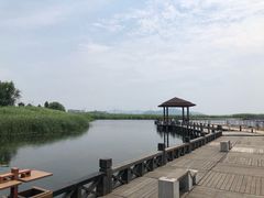 -太湖湖滨国家湿地公园-停车场