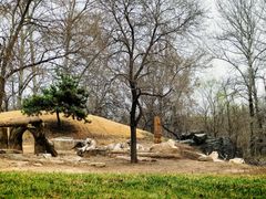 -北京野生动物园