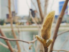 -马栏河运动公园
