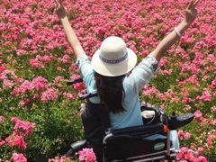 -南京枫彩漫城