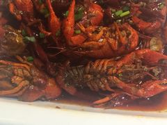 -海岛八号龙虾烧烤田鸡(蓝天路总店)