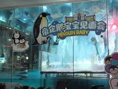 -帝企鹅自助餐厅•儿童岛•真企鹅(长隆企鹅酒店)