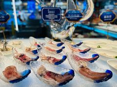 -舒友海鲜姿造(白鹭洲店)