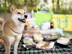 -丹世红酒庄·烧烤·团建·婚礼·水上运动