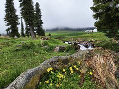 -新疆那拉提国家旅游度假区