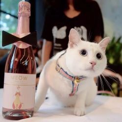 -喜宴酒店幸福里(星摩尔购物中心店)