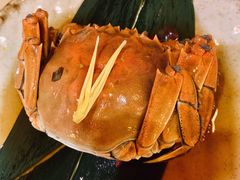 -江味龙虾馆·裸蓝龙虾(南山店)