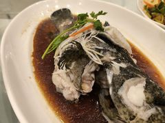 -双井轩(双井店)