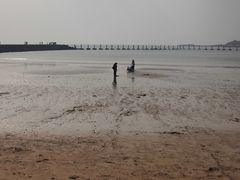 -青岛第二海水浴场