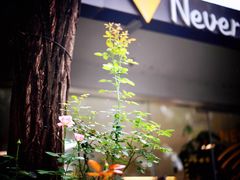 -五进制 Coffee Shop