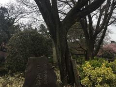 -名古屋城