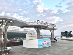 -演武大桥观景平台