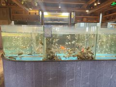 水产区-丹江渔村(首都机场店)