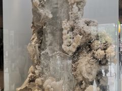 -贵州省地质博物馆