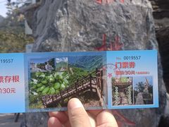 -大岭沟猕猴桃谷风景区