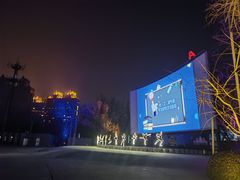 -枫花园汽车电影院(朝阳公园店)