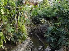 -呀路古热带植物园