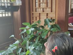 -小吊梨汤·北京菜(香山店)