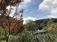 -天河潭旅游度假区
