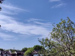 -八大山人梅湖景区