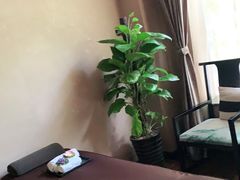 -大唐盲人按摩中心(黄山路店)