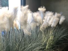 -稻鲜记潮汕砂锅粥