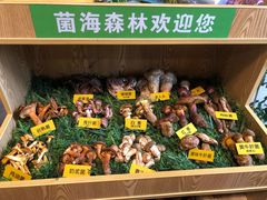 -菌海森林·非遗野生菌火锅(西山区滇池路摩根道店)