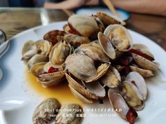 香辣蛤蜊-鲁前海沿儿