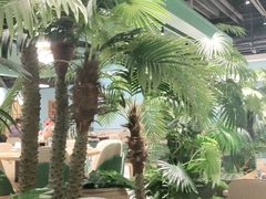 -春润大地海南椰子鸡(沙井京基百纳广场店)