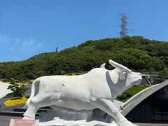 -半升洞码头