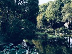 -叶家花园