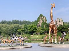 -北京野生动物园