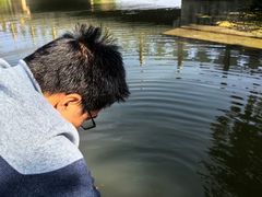 -天王浮山樱花园