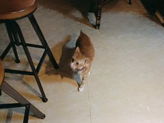 -逃脱反斗城沉浸剧情密室(北京路店)