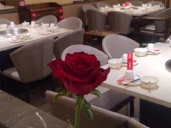 -芭夯兔·兔肉汤锅(新都店)