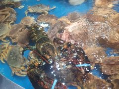 -盒马鲜生(杭州运河上街店)