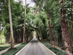 -中国科学院西双版纳热带植物园