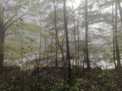 -青峰峡国家森林公园