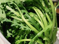 -同仁四季椰子鸡(福田东园总店)