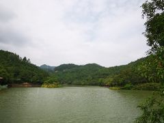 -广州白江湖森林公园