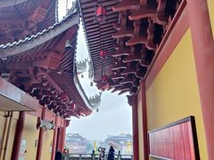 -上海东林寺(金山区)