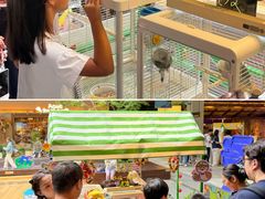 -瑞虹新天地月亮湾