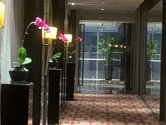 -宁波逸东豪生大酒店·逸轩中餐厅