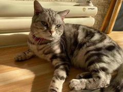-平行世界·猫咖(首经贸店)
