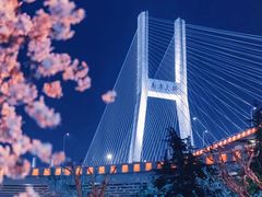 -南浦大桥长途旅游客运站