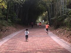 -玉树公园